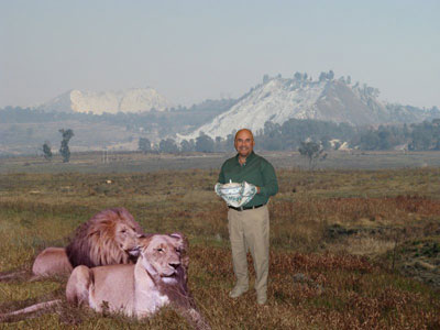 Ron-feeding-lions