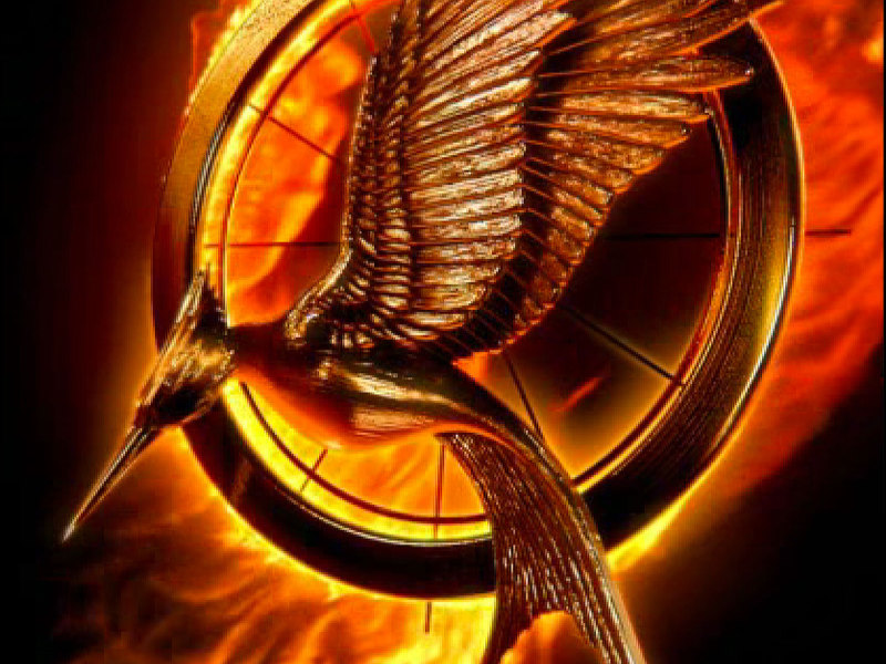 catching-fire-movie-poster