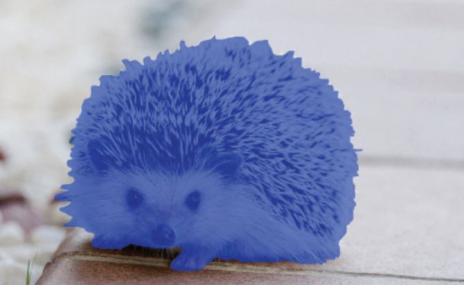 Copyright-free blue hedgehog. Image courtesy of amayaeguizabal via pixabay.